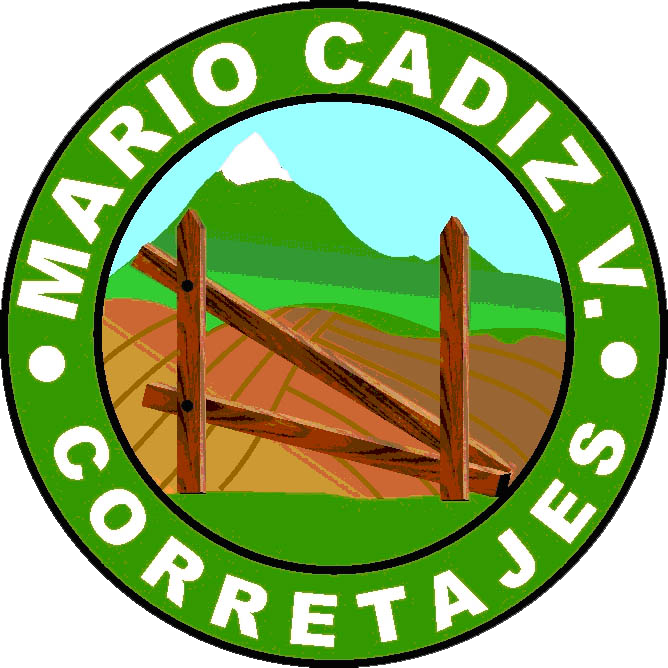 mariocadizweb.pages.dev favicon